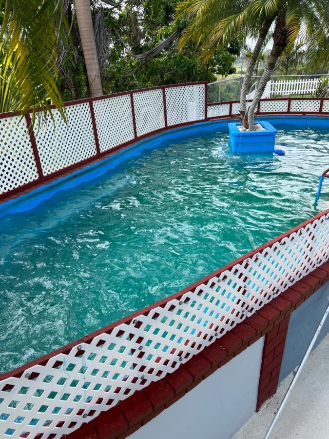 Hotel Hacienda Agroturistico Vista Hermosa Camuy Ngoại thất bức ảnh